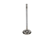 Load image into Gallery viewer, Manley Ford 4.6L 34mm Diameter 117.35mm Length Race Master Exhaust Valves (Set of 8)