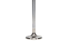 Load image into Gallery viewer, Manley Volkswagen 1.7L Type IV Exhaust Valve Kit - 40.00mm Head Dia. 4.606in O/A Length, 0.3130in