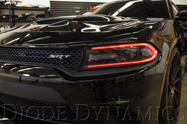 Diode Dynamics 2015-2018 Dodge Charger RGBW DRL LED Boards