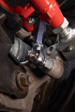 Load image into Gallery viewer, Photo - Mounted