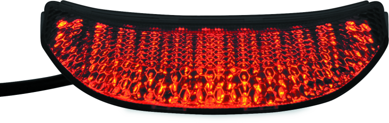 BikeMaster 04-07 Honda CBR1000RR Integrated Tail Light