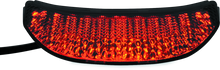 Load image into Gallery viewer, BikeMaster 04-07 Honda CBR1000RR Integrated Tail Light