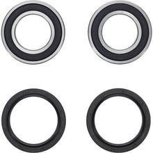 Load image into Gallery viewer, Pivot Works  E-TON IXL-40 Rascal Rear Wheel Bearing Kit