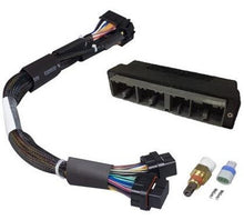 Load image into Gallery viewer, Haltech GM GEN III LS1/LS6 Terminated Ignition Harness