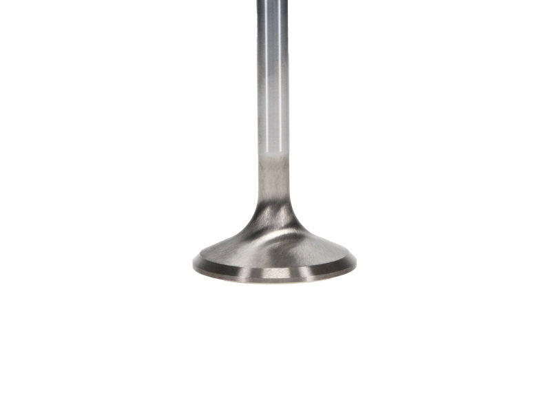Manley Chrysler Hemi 6.1L w/ Triple Groove 1.595in Race Flo Exhaust Valves (Set of 8) - GTR Auto
