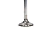 Load image into Gallery viewer, Manley Chrysler Hemi 6.1L w/ Triple Groove 1.625in Race Master Exhaust Valves (Set of 8) - GTR Auto