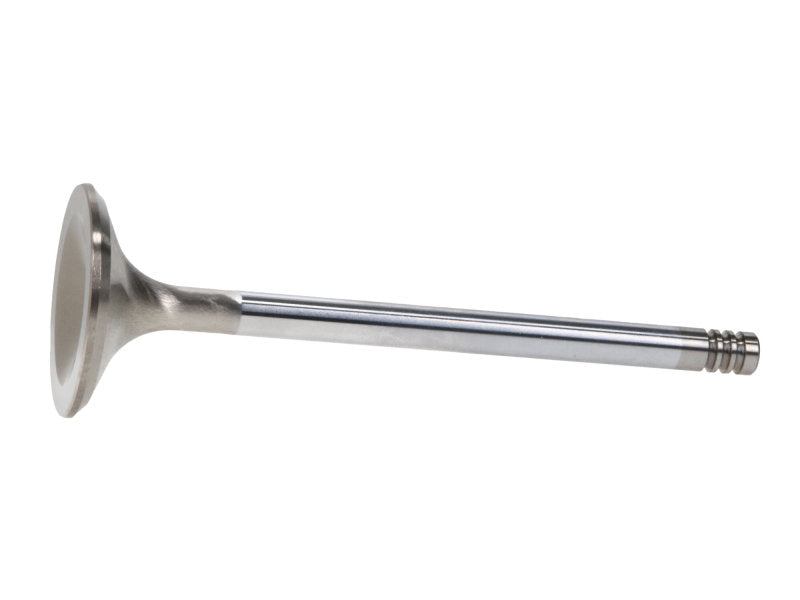 Manley Chrysler Hemi 6.1L w/ Triple Groove 1.625in Race Master Exhaust Valves (Set of 8) - GTR Auto