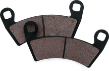 Load image into Gallery viewer, BikeMaster Polaris Brake Pads