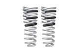 Eibach 4th Gen RAM 2500 Pro Lift Kit HD Rear Springs