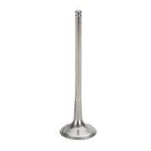 Load image into Gallery viewer, Supertech Suzuki RM-Z450 Titanium Exhaust Valve - Single