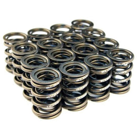 BLOX Racing Valve Springs for B18A-B / B20 (1.8L-2.0L DOHC) - GTR Auto