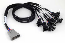 Load image into Gallery viewer, Haltech NEXUS V8 Junior Timer (EV1) Injector Primary Breakout (Plug-n-Play w/HT-186200)