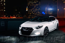 Load image into Gallery viewer, Diode Dynamics 2016 Nissan Maxima SB DRL LED Boards