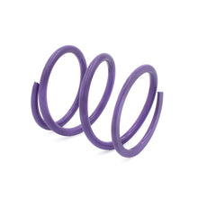 Load image into Gallery viewer, EPI 24+ Polaris RZR XP 1000/ Xpedition XP/ADV Primary Clutch Spring Purple