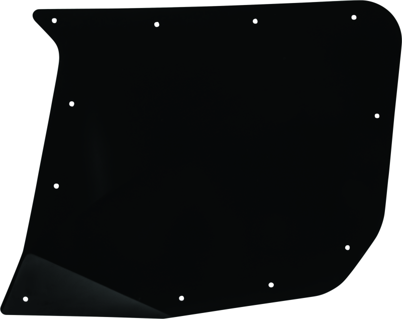 DragonFire Racing Rear Passenger Door Skin For 521065