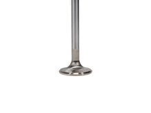 Load image into Gallery viewer, Manley Volkswagen Rabbit Exhaust Valve Kit - 34.00mm Head Dia. 3.976in O/A Length, 0.3130in Stem