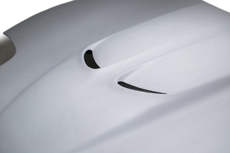 Anderson Composites 97-04 Chevrolet Corvette C5 Type-TD Hood