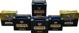 Twin Power YTX-14L Shocker Gel Battery Replaces H-D 65958-04 220 CCA