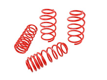 Load image into Gallery viewer, Skunk2 07-12 Honda Civic Type-R (FN2) Lowering Springs (Set of 4)