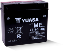 Load image into Gallery viewer, Yuasa YT19BL-BS Maintenance Free AGM 12-Volt Battery w/Bottle