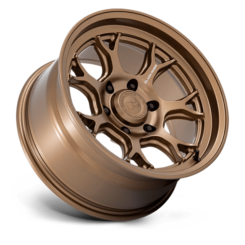 ETOSHA 17X8.5 6X5.5 106 -10 M-BRNZ