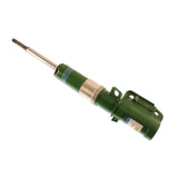 Motorsports - Suspension Strut Assembly