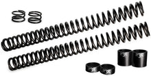 Load image into Gallery viewer, Fox Powersports Harley-Davidson AM FLT HD Fork Spring Kit