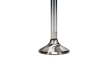 Load image into Gallery viewer, Manley Ford 351 Cleveland Exhaust Valve Kit - 1.710in Head Dia. 5.042in O/A Length, 0.3415in Stem