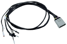 Load image into Gallery viewer, User 1