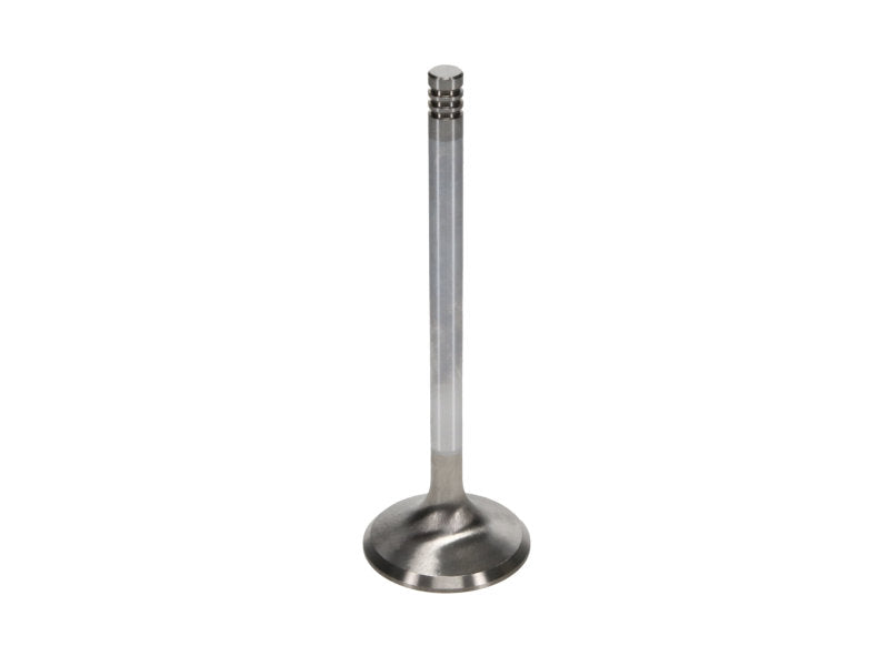 Manley Chrysler Hemi 6.1L w/ Triple Groove 1.595in Race Flo Exhaust Valves (Set of 8) - GTR Auto