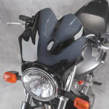 Load image into Gallery viewer, National Cycle F-18 Windshield Dark Tint