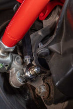 Load image into Gallery viewer, Photo - Mounted