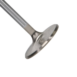 Manley 99-12 Ford V8 4.6L/281 5.4/330 45.5mm Race Series Stainless Steel Intake Valves (Set of 8) - GTR Auto