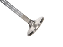 Load image into Gallery viewer, Manley Dodge 8.0L Viper V10 Exhaust Valve Kit - 1.600in Head Dia. 5.97mm O/A Length, 0.3110in Stem