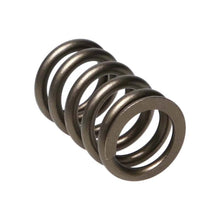 Load image into Gallery viewer, Manley Valve Spring, SPRING-NISSAN PATROL TB48