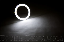 Diode Dynamics Halo Lights LED 70mm/80mm Switchback Four