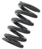 Tein Standard Spring 5kg ID 70mm Free Length 175mm (Two Springs)