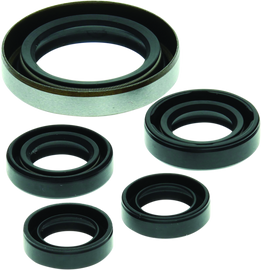 QuadBoss 06-07 Polaris Outlaw 500 Oil Seal Set