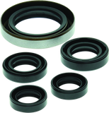 QuadBoss 06-07 Polaris Outlaw 500 Oil Seal Set
