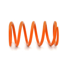 Load image into Gallery viewer, EPI 24+ Polaris RZR XP/4 / Xpedition XP/ADV Secondary Clutch Spring Orange
