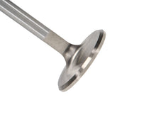 Load image into Gallery viewer, Manley Volkswagen 1.2L Type I Intake Valve Kit - 42.00mm Head Dia. 4.405in O/A Length, 0.3130in Stem