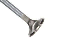 Manley 99-12 Ford 4.6L/281 5.4L/330 V8 37mm Race Series Stainless Steel Intake Valves (Set of 8) - GTR Auto