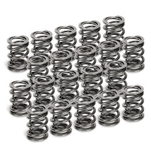 Load image into Gallery viewer, Supertech VW VR6 Dual Valve Spring - Set of 20