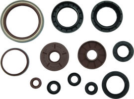 QuadBoss 09-10 Arctic Cat 1000 TRV Oil Seal Set