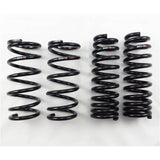 RS-R 13+ Lexus GS450h RWD (GWL10) Down Sus Springs