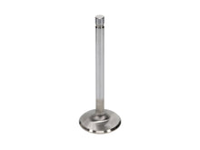 Load image into Gallery viewer, Manley Oldsmobile 330 Exhaust Valve Kit - 1.710in Head Dia. 4.668in O/A Length, 0.3415in Stem