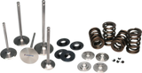 Ferrea Toyota GR Corolla G16E-GTS Turbo Single Valve Spring Kit