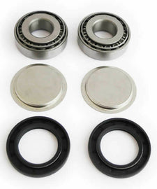 EPI 85-20 Honda TRX250-500 /06-15 Arctic Cat 250-300 Swing Arm Repair Kit