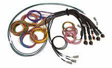 Load image into Gallery viewer, Haltech NEXUS R5 Universal Wire-In Harness - 5M (16ft)