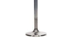 Load image into Gallery viewer, Manley Chevrolet Small Block Intake Valve Kit - 2.055in Head Dia. 4.911in O/A Length, 0.3415in Stem
